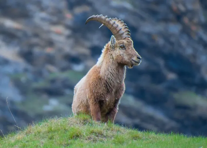 Slavica Dorfstrasse 94